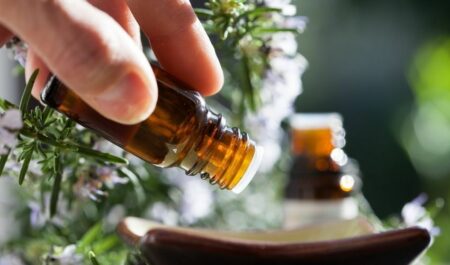 plant therapy essential oils - essential oils