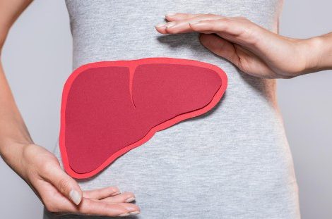 Alleviates Fatty Liver Disease