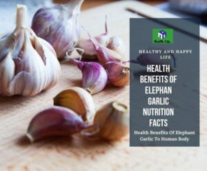 the health benefit of garlic