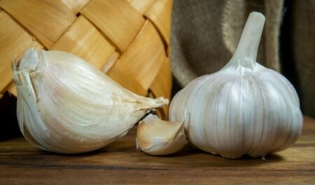 the health benefit of garlic - elephant garlic.