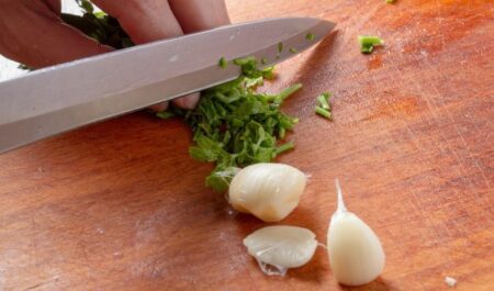 the health benefit of garlic - garlic for diet