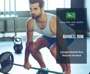 Upright Barbell Row Muscles Worked