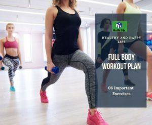 Full Body Workout Plan