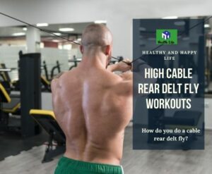 High Cable Rear Delt Fly