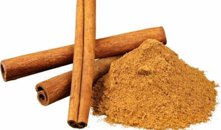 plant therapy essential oils - cinnamon