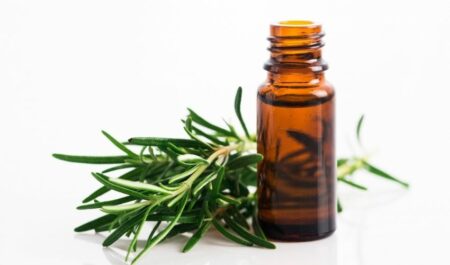 essential oils for acne - Rosemary oil