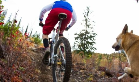 Ride a Bike - biking on mountain