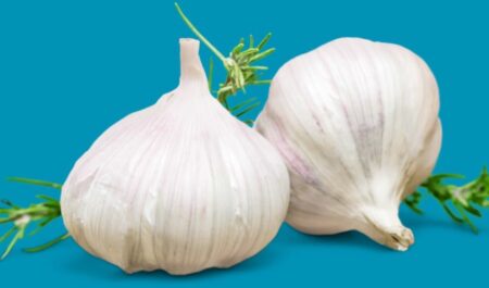 What Are The Healthiest Vegetables - garlic for fat burning