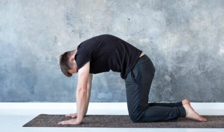 Shoulder Stretching Exercises - Cat cow pose