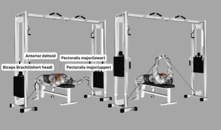Lying Cable Chest Fly