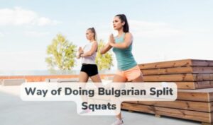 what is the bulgarian split squat